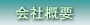 ЊTv
