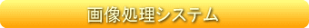 摜VXe
